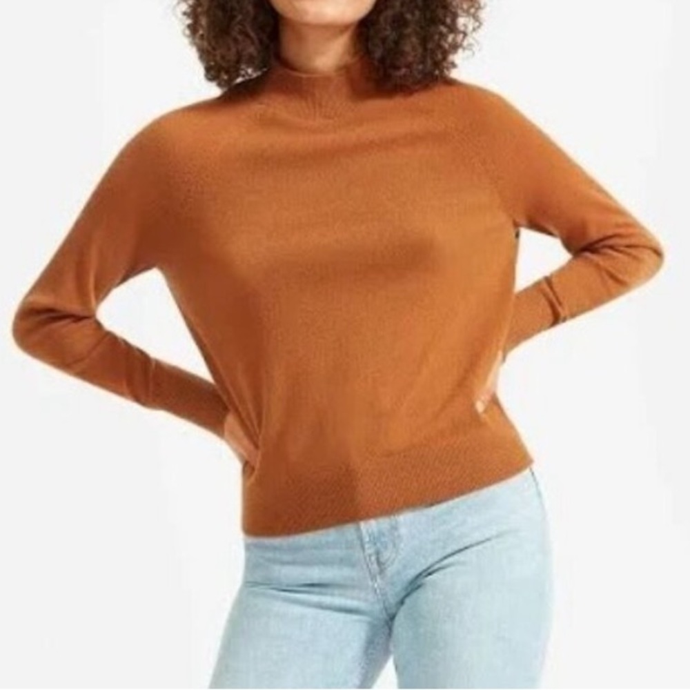 Everlane 100% Cashmere Raglan Mock Neck Sweater Cider Orange Terracotta Small